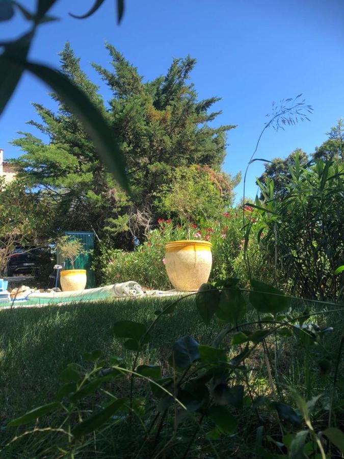 B&B Oasis Des Lavandes - Chambre Coqueliot วิลเนิฟ-เลส์-อาวิญง ภายนอก รูปภาพ
